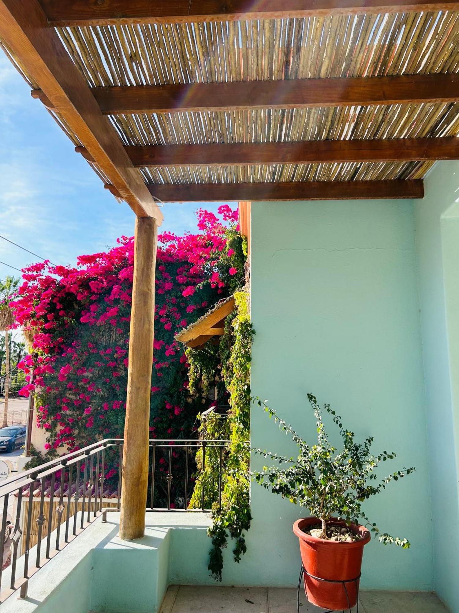 Rosarito Hotel 로레토 외부 사진